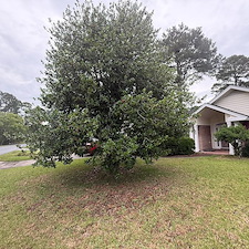Tree-trimming-Pressure-Washing-Leaf-Blowing-in-Myrtle-Beach-SC 9